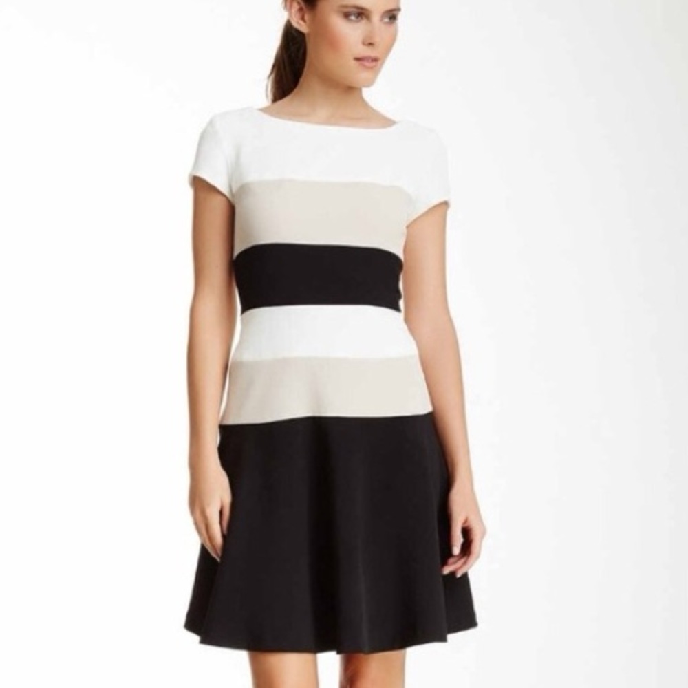 Sandra Darren Black, White, and Tan Midi Dress